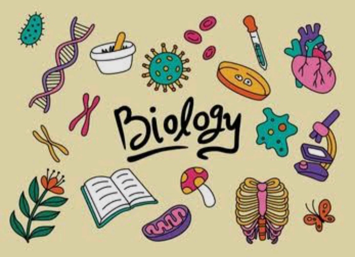 Biology JAMB Past Questions And Answers PDF Download