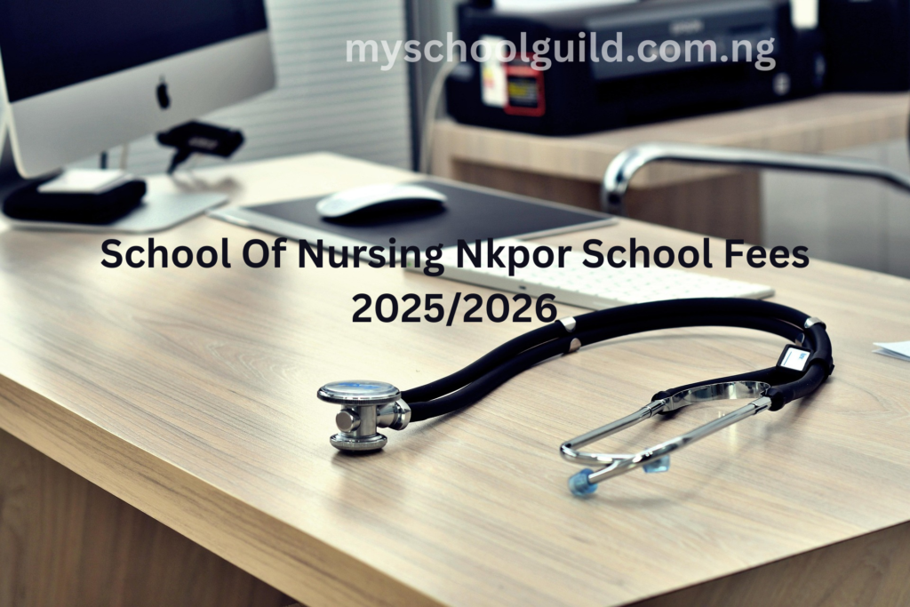 School Of Nursing Nkpor School Fees