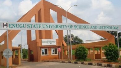 enugu state university