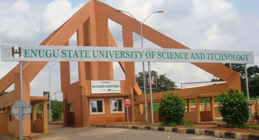 enugu state university