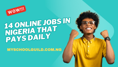 Online Jobs In Nigeria That Pays Daily
