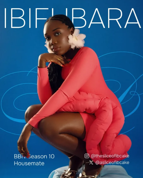Ibifubara BBNaija Biography, Age, State Of Origin, Parents, Wikipedia, Net Worth